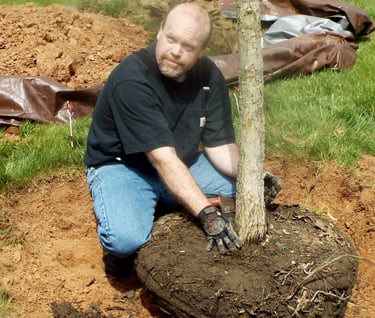 Christian Plunkett planting an oak tree