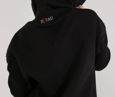 Džemperis su individualiu siuvinėjimu