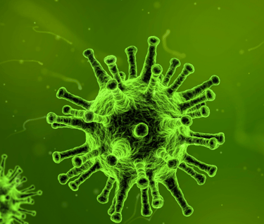 green viruses 