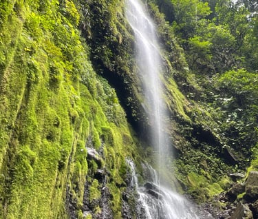 Rappelling, Waterfall, Costa Rica, Water Adventures Costa Rica