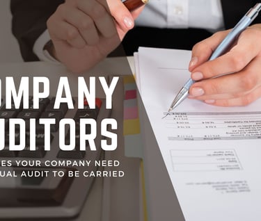 Appointing company auditors, annual compliance 