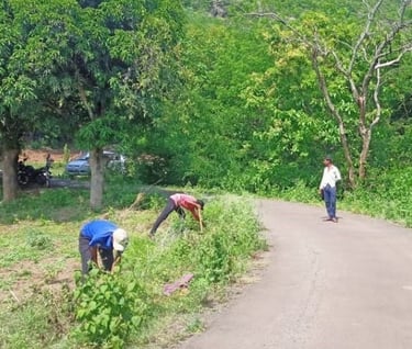 My Road my tree Santosh khanduri