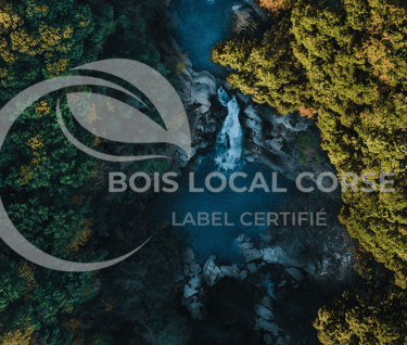 foret de bois local avec des arbres et de l'eau turquoise