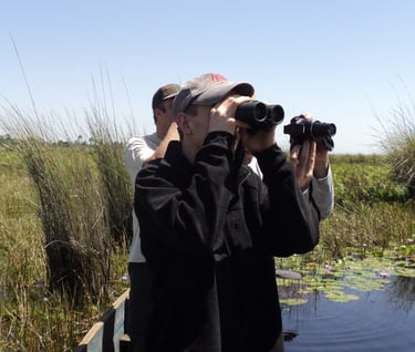 birding-mabama-swamp