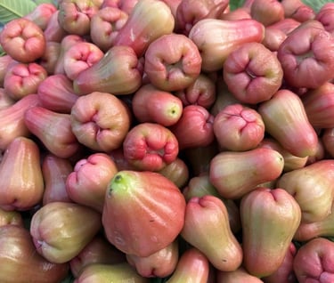 Agriculture at Mannavanur