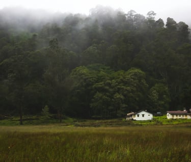 Near Berijam Lake 