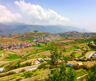 Poombarai Terrace Farming Showcase