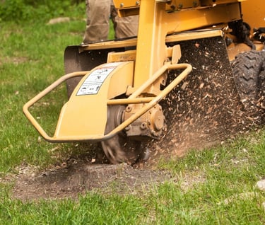 TREE-MENDOUS Tree Service