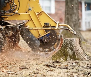 louisiana stump grinding 