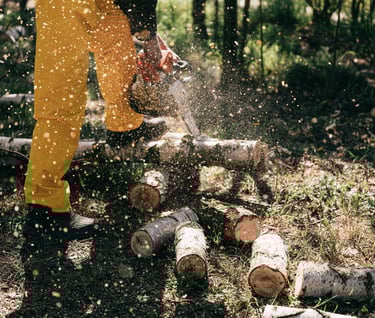 TREE-MENDOUS Tree Service