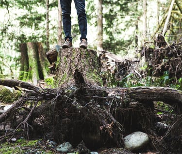 TREE-MENDOUS Tree Service