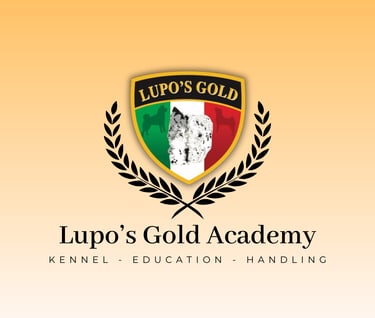 lupo's gold accademia cinofila