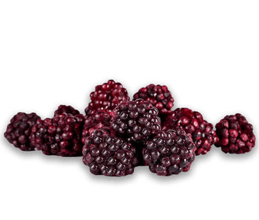 Freeze Dried Blackberry