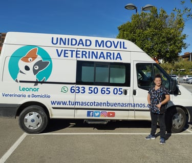 a woman standing in front of a van with a dog on it