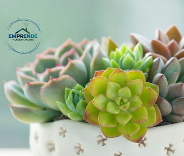 a potted planter with a plant in it