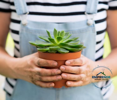 a person holding a potted plant in a potted pot