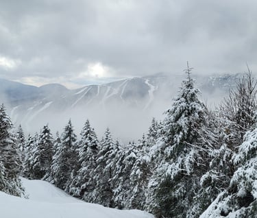 Photo of the slopes at Stowe, take from Madonna summit at Smuggs
