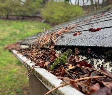 pine needles and debris laying on gutter guards impeding them from working
