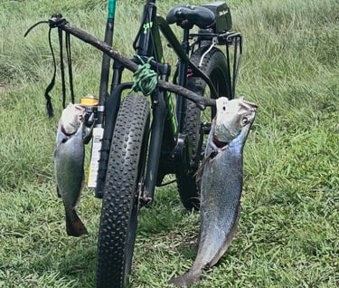 Electric Bike Mtentu fish carrier