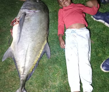 Lovely GT Giant Trevally fresh fish