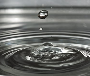 drops of water hitting the surface of water and rippling out