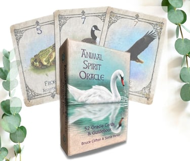 Animal Spirit oracle deck and cards