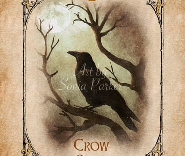 Crow card from the animal spirit oracle deck