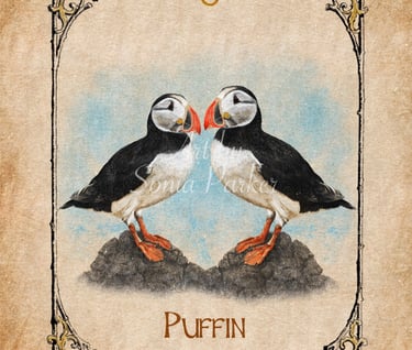 Puffin, a card from the animal spirit oracle deck