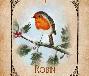 Robin, a card from the animal spirit oracle deck