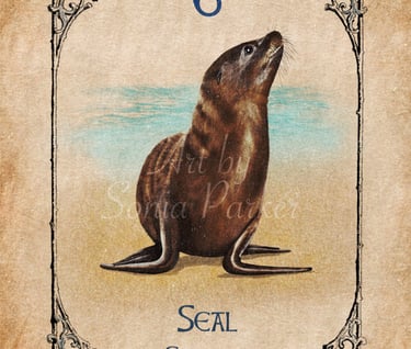 Seal card from the animal spirit oracle deck