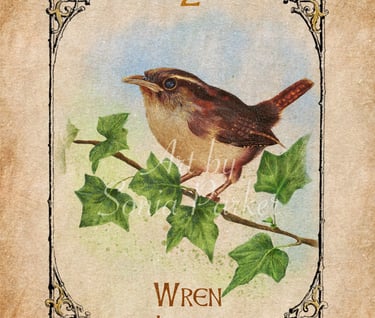 Wren, a card from the animal spirit oracle deck
