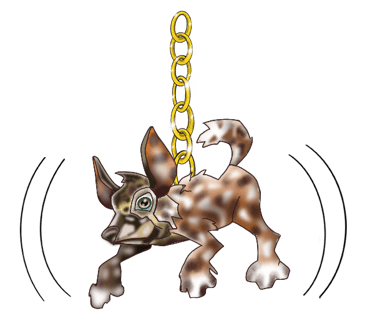 African Wild Dog