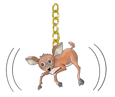 Bawean Deer