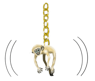 Hainan Gibbon