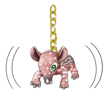 South American Tapir