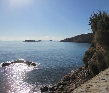 The clear blue mediterranean sea with it's rocky Mallorca coastline
