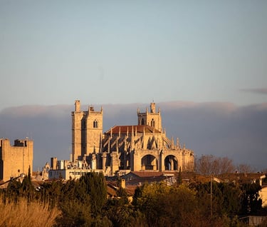cathédrale de Narbonne - cathedral of Narbonne