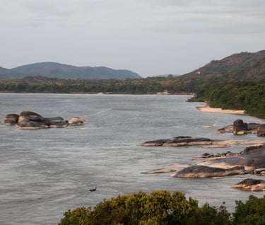 Vichada, Colombia. Terra Forest