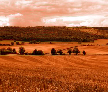 paysage écologique, éthique
