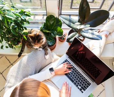a woman working at the laptop with a cat, she is working on a translation in a cosy atmosphere
