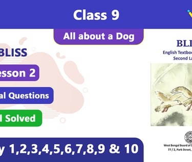 All about a Dog