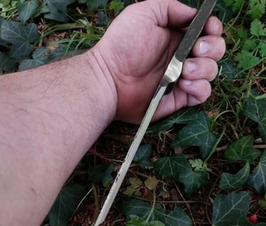 manche demi bisaigüe