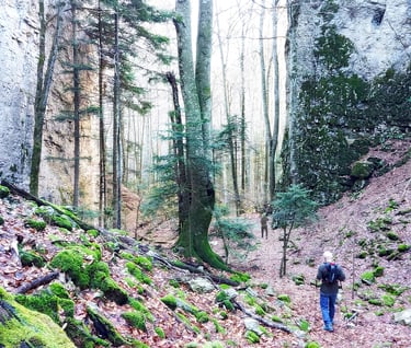 Walking in the Forêt de Saoû near Les Trois Becs, Drôme, France