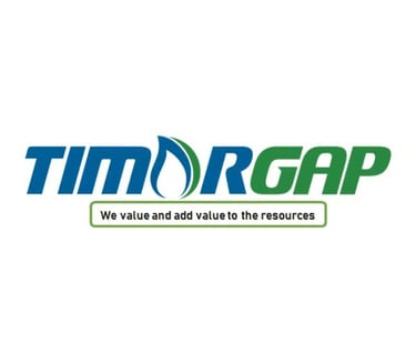 corporate car rental timor gap