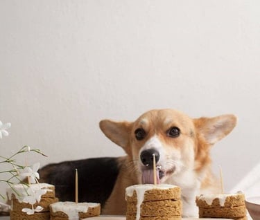 biscuit pour chien sans céréales - strasdog