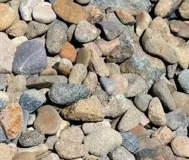 Paillage avec des cailloux 