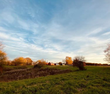 countryside wedding venue galesburg Illinois with open blue sky and trees at sunset