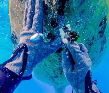 Florida boat hull cleaning diving services Sarasota Bradenton St Petersburg