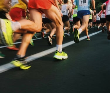 semi marathon du lion belfort 2025
