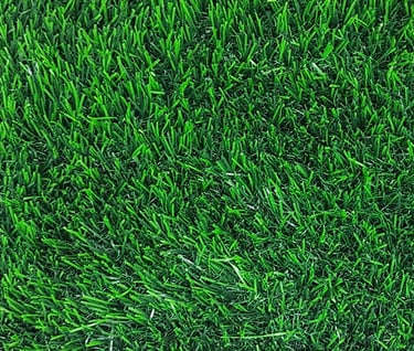 Artificial Grass 25mm